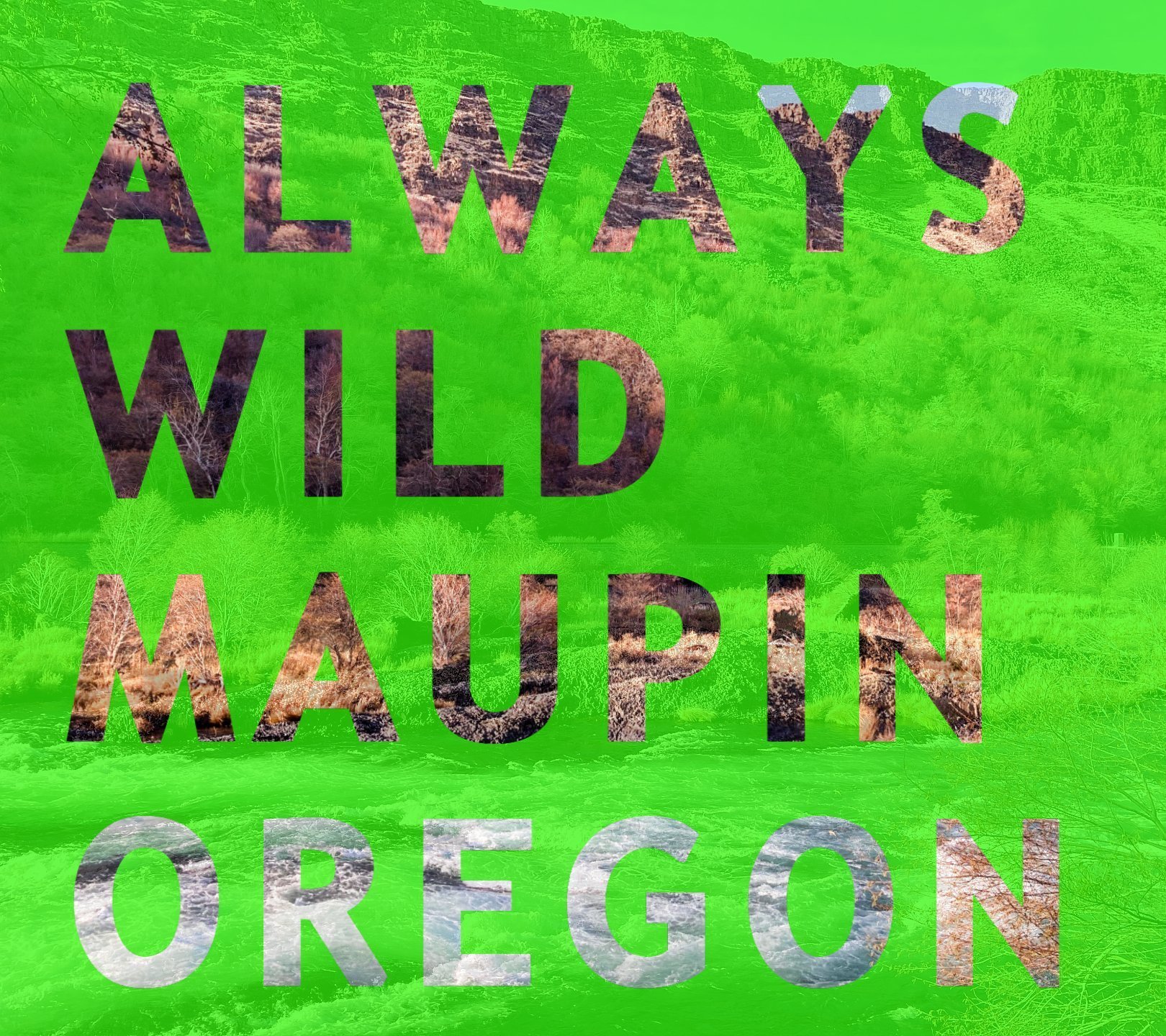 ALWAYS WILD MAUPIN